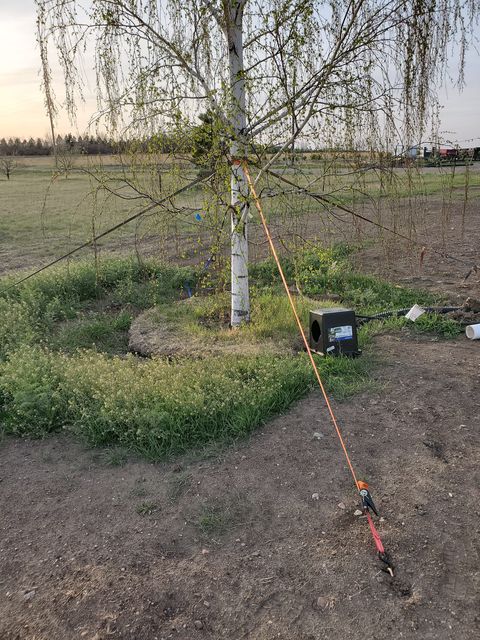 A tree being held up with GroundGrabba Pro. 